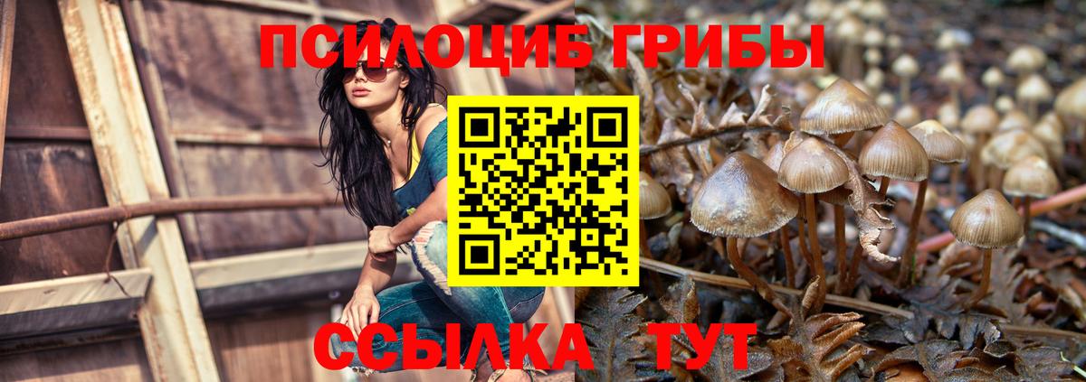 Тавда  Галлюциногенные грибы мухоморы  Вход с VPN  Галлюциногенные грибы GOLDEN TEACHER 
